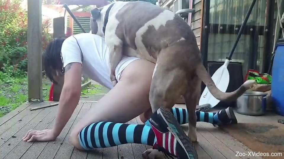 Aroused gay male cam fucked in the ass by how own dog