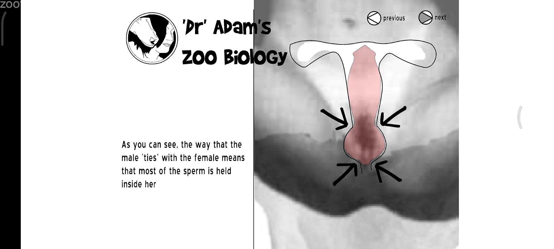 Sexy zoophilia guide for beginners