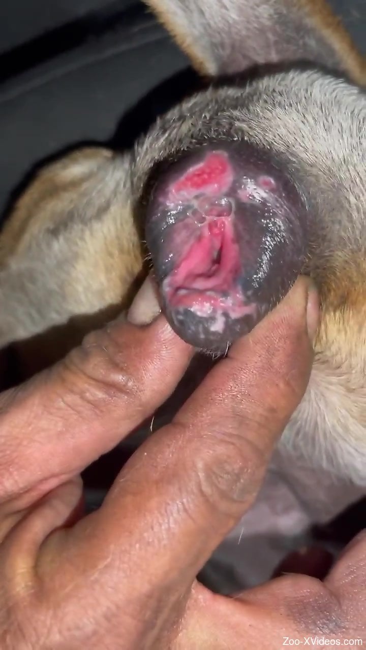 Nice animal hole showcased after the hard fucking