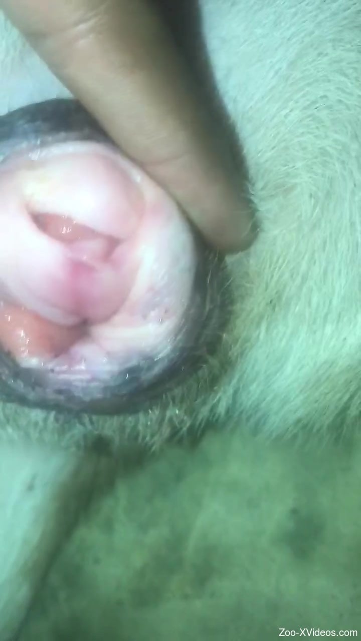 Midnight kinks in webcam POV action for a horny amateur man