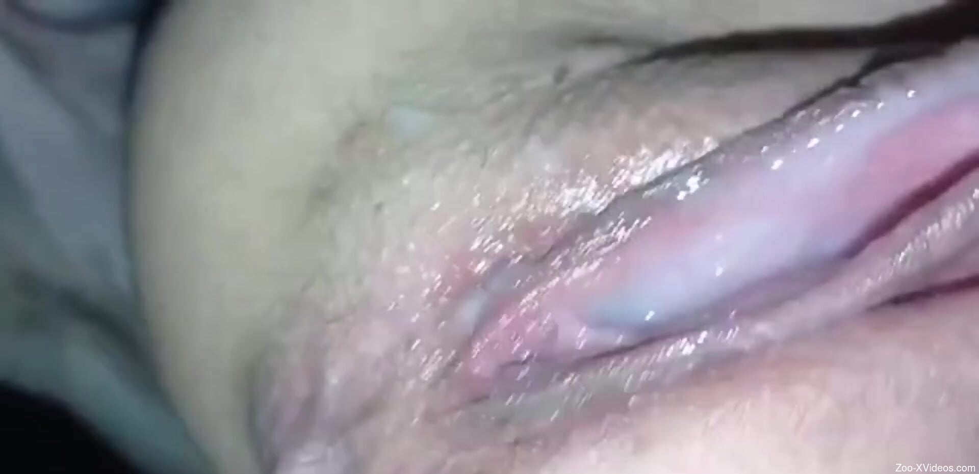 Gorgeous zoophilic pussy gets fucked for creampie