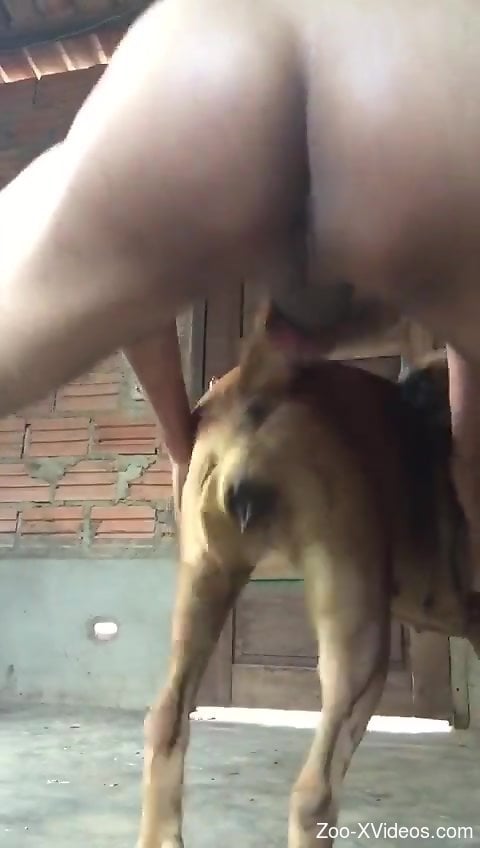 Man deep fucks dog in the pussy for restless pleasure