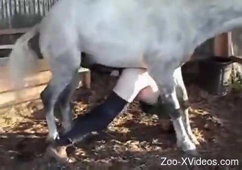 White horse is going to ruin that tight hole here