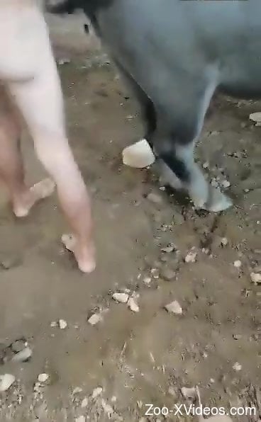 Very leggy dude fucking a hot animal from behind