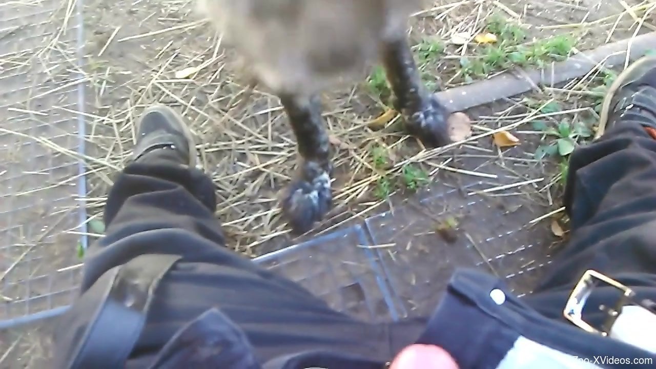 Dude face-fucking his sexy dog in an outdoor scene