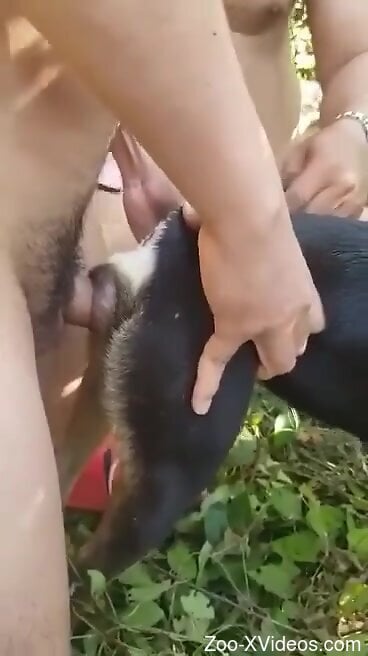 Guy impales a sexy animal on his oversized dong