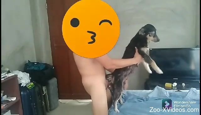 Dude hides his face while fucking his sexy animal