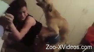 Fast-paced fuck scene with a submissive zoophile