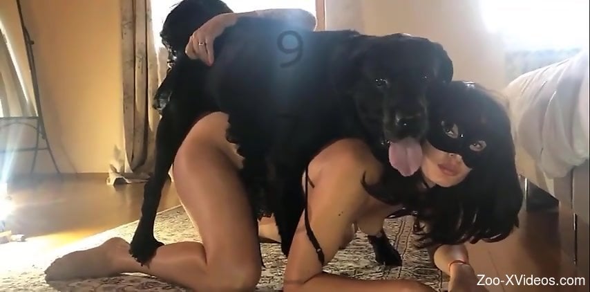 Compilation of Latin girls sucking tasty dog boners