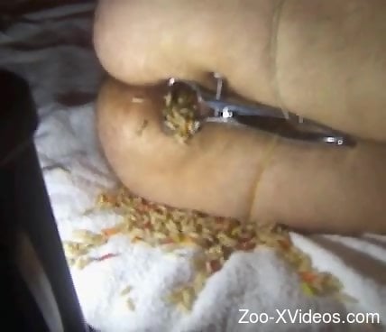 Naked man inserts loads of worms into the butt hole