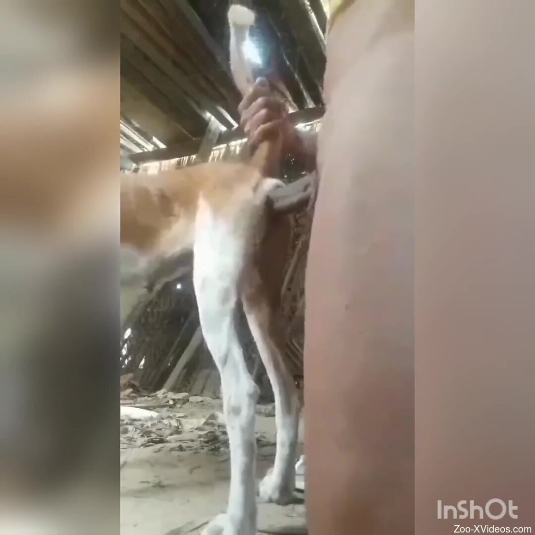 Guy's hard cock is going to stretch out the beast