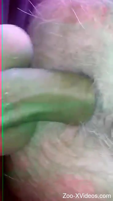 Man deep fucks dog and cums on its fur in the end