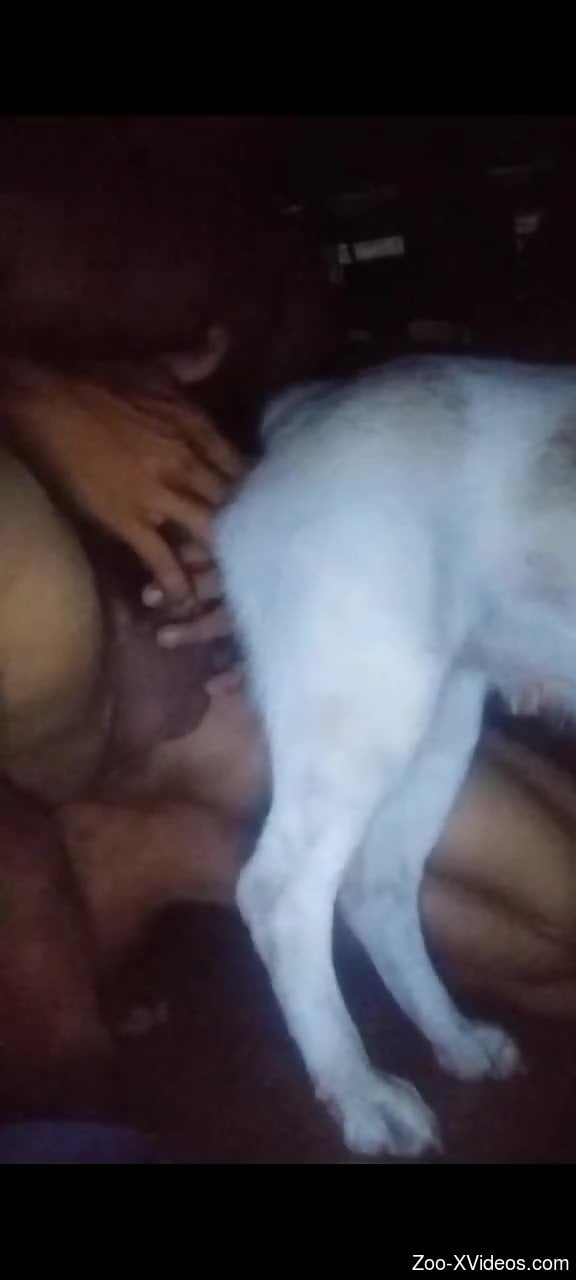 man humps furry animal in restless rounds and comes on its fur