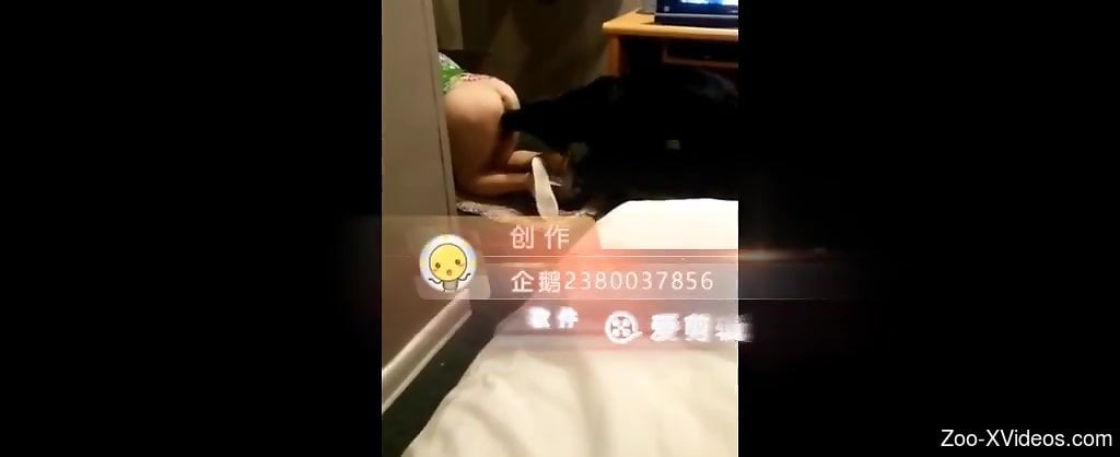 Timid Asian gal turns out to be a hot dog whore