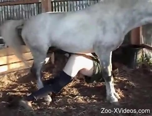 White stallion dominating a gay dude's tight asshole