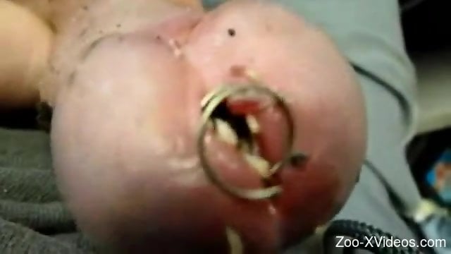 Dude makes room for more worms into his erect cock