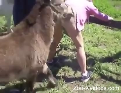 Meaty mommy getting fucked by a big-dicked animal