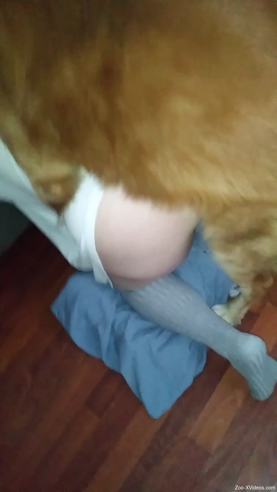 Aroused woman deep fucked in both holes by the dog