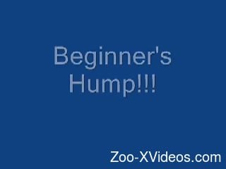 Aspiring zoophile with a big butt gets fucked by a dog