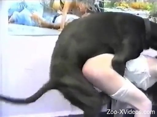 Dark-haired babe dressed in white fucks a dog