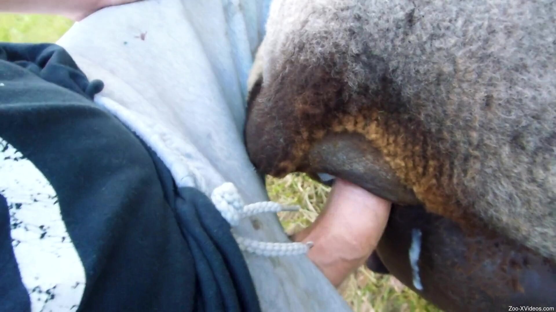 Guy uses his penis to spray jizz all over the hole