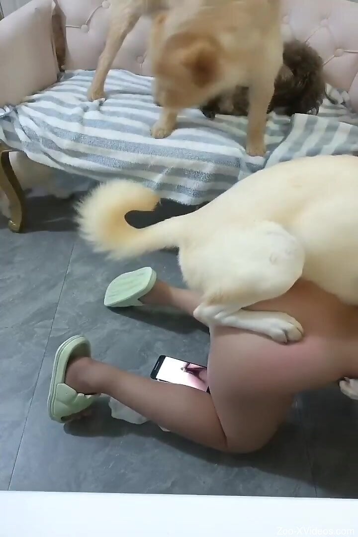 Furry muff pleases naked woman by fucking her pussy