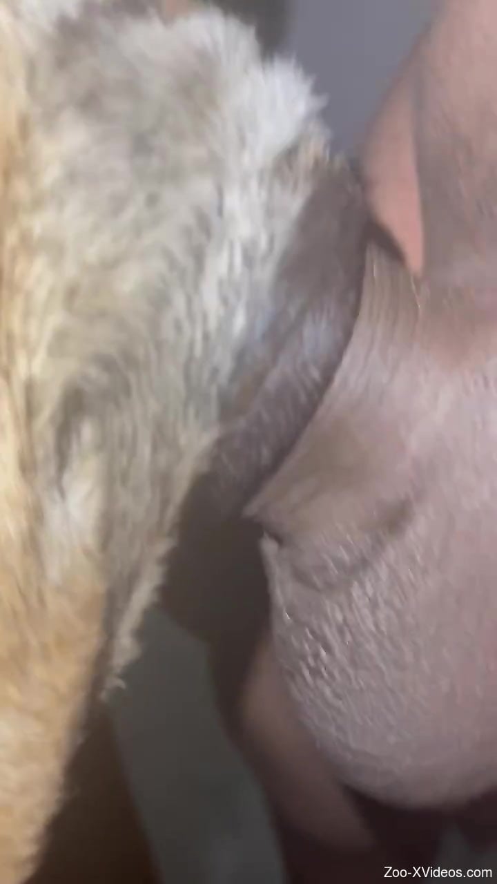 Hot beast with a perfect vagina is getting fucked hard