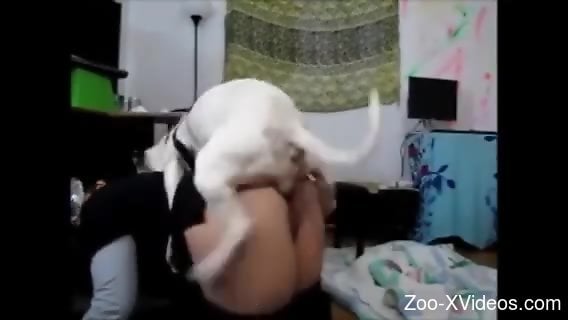 Curvy female enjoys heavy dog penis from behind