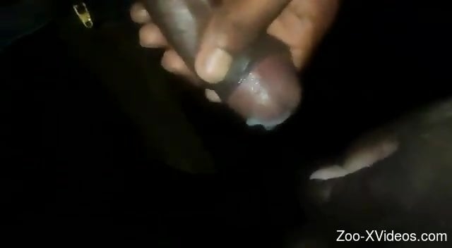 Closeup animal XXX action for a black dude with a big cock