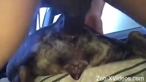 Dude is working on that booty without real worry