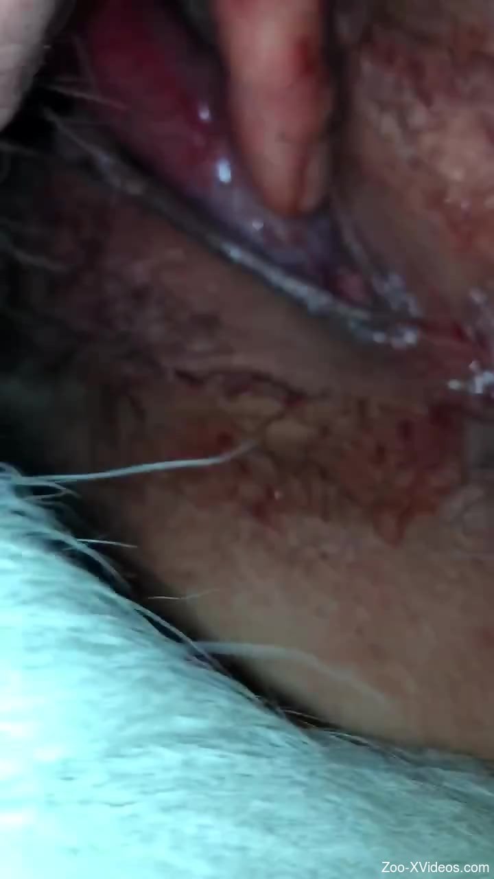 Nude closeup zoo cam sex for a horny amateur