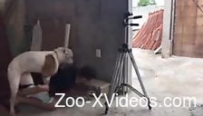 Gay male fucked by the dog when posing on cam