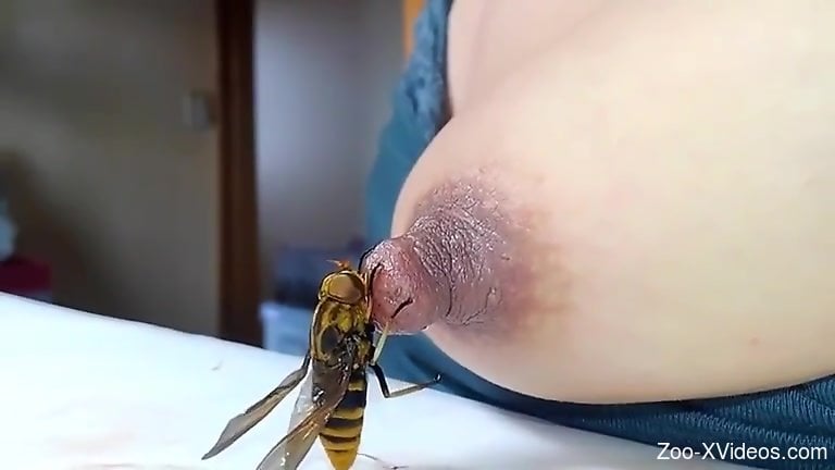 One of the sexiest fringe bestiality videos ever