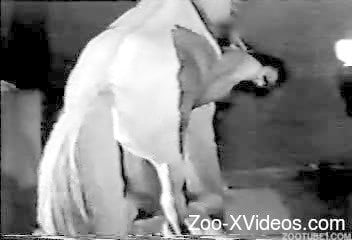Vintage bestiality video of zoophile having sex with pony
