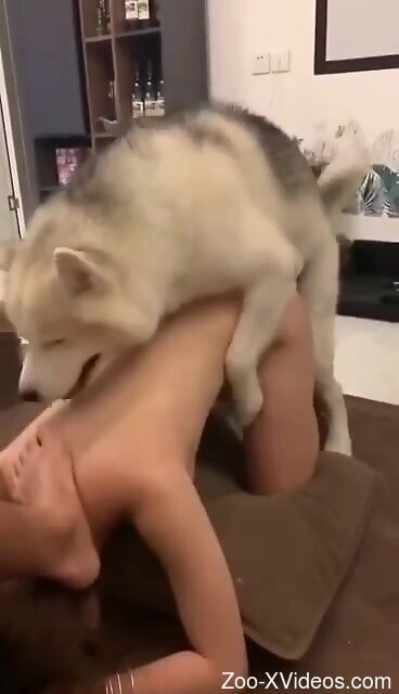 White dog makes horny bitch cum from rough bestiality sex