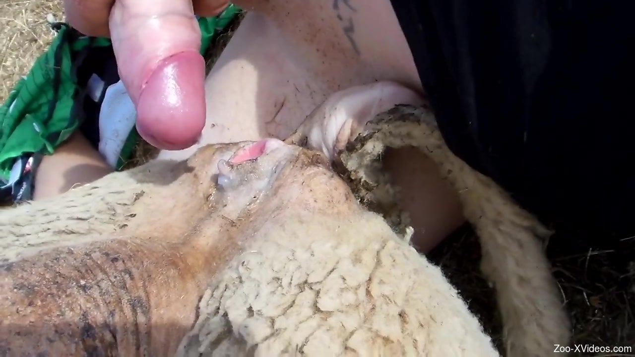 Dude's penis will make this animal remember him