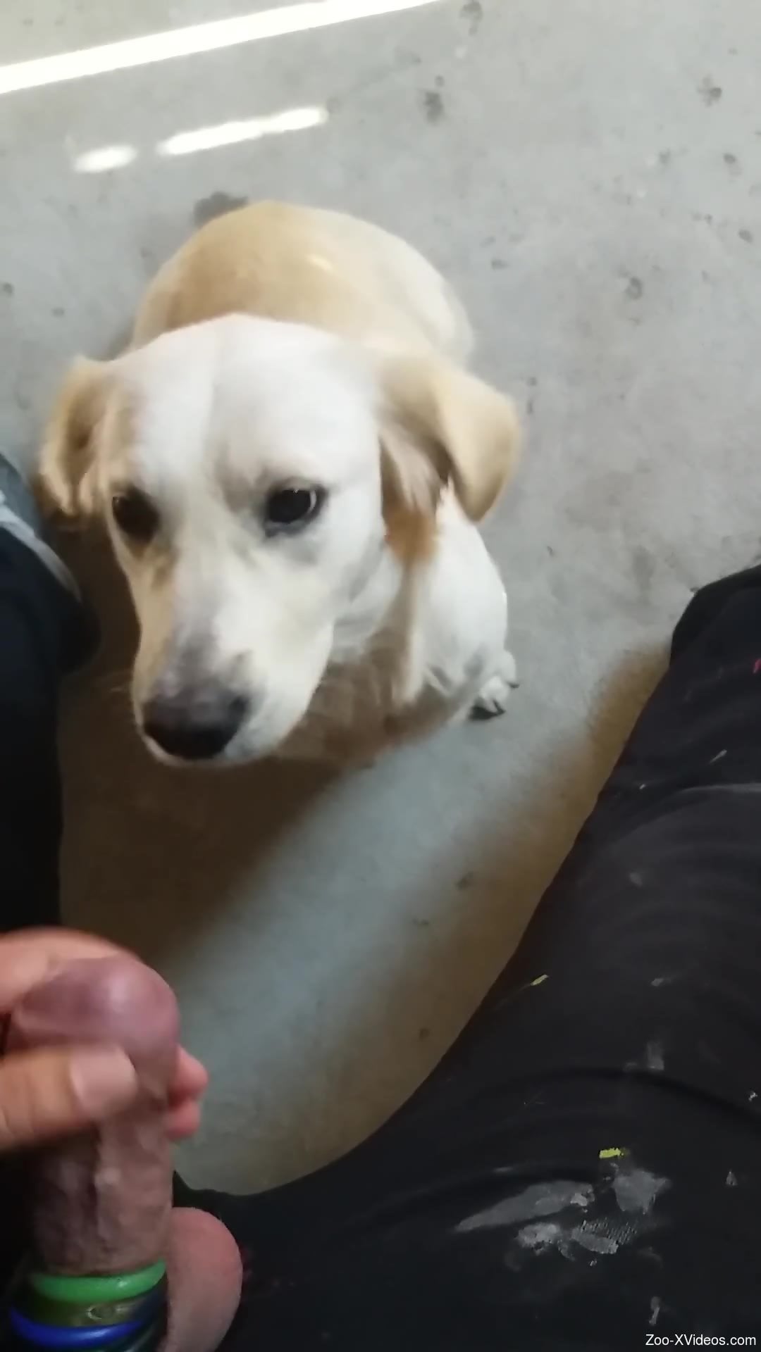 Horny animal is about to enjoy a huge facial here