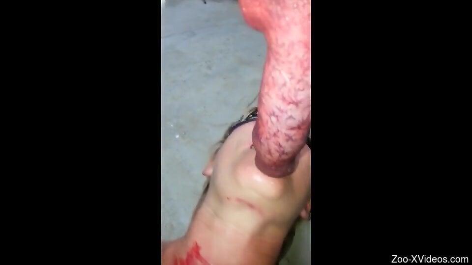 Amateur woman filmed in sexy scenes when she throats a big dog dick