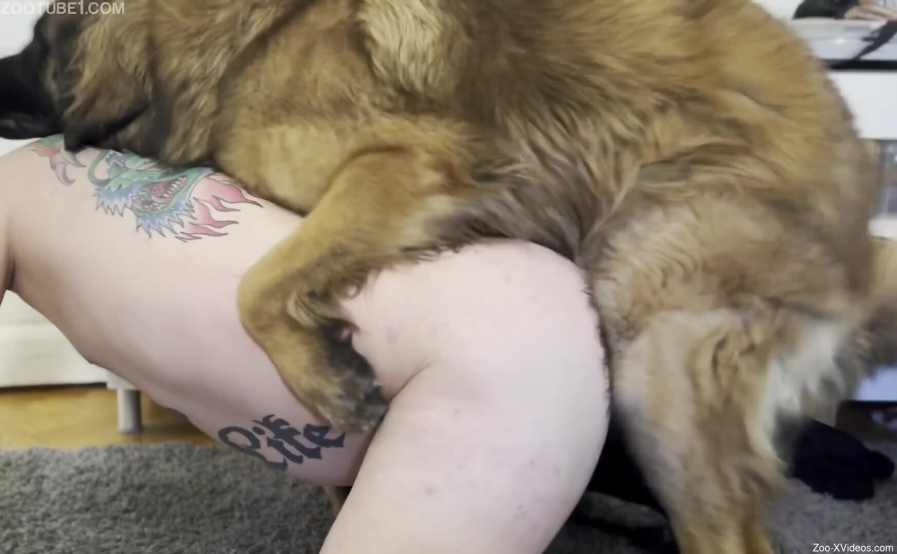 Furry dog grants naked man best zoo anal in his life