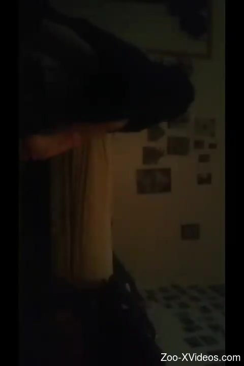 Dog fucks owner in home zoophilia caught on cam