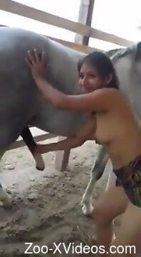 Hot lady stroking a horse's cock while outdoors