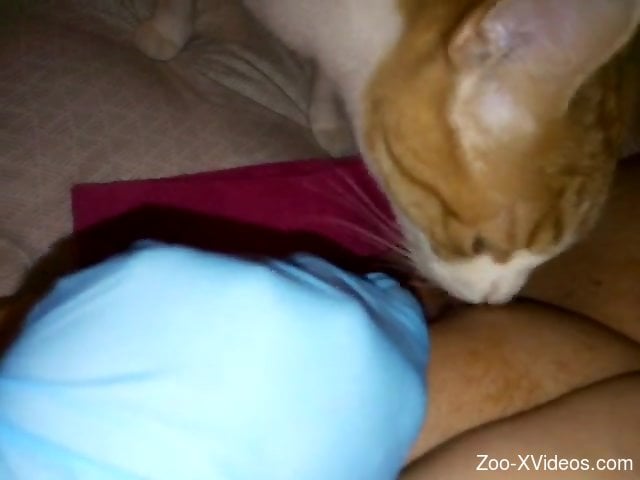 Kitty pleasuring her pussy because that's hot