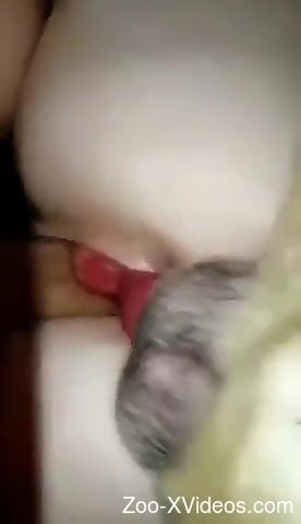 Guy using his mega cock to fuck a sexy animal