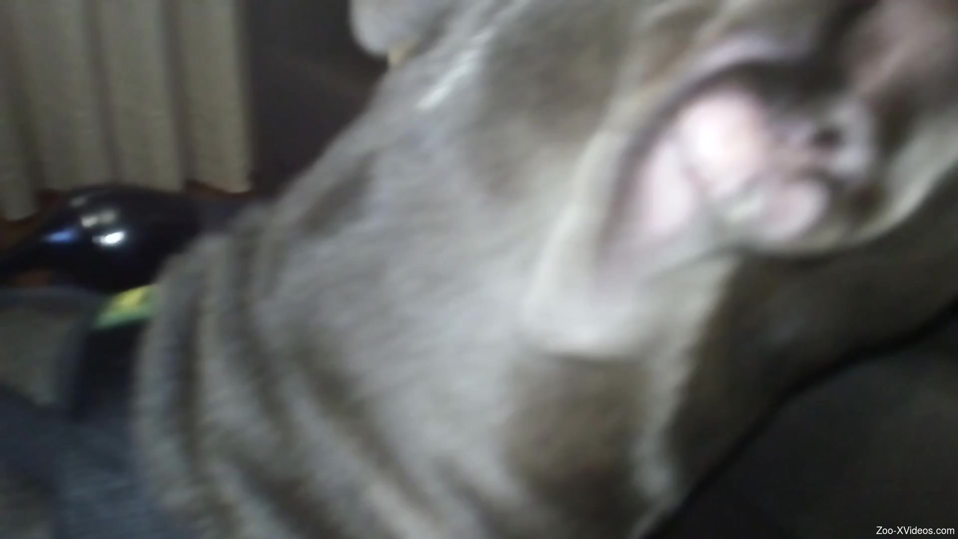 Pantyhose babe getting her pussy licked from behind