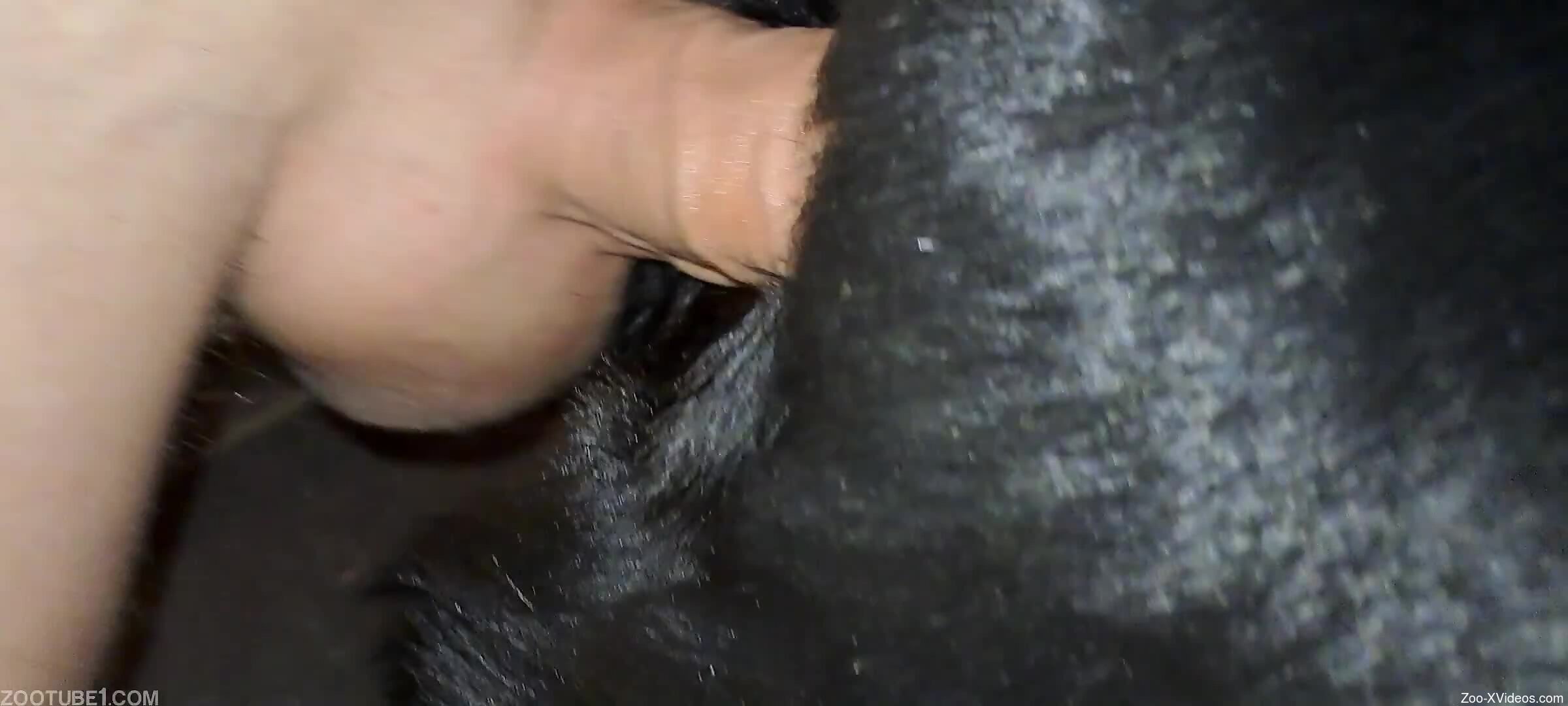Guy's veiny cock is going to ruin that hot pussy