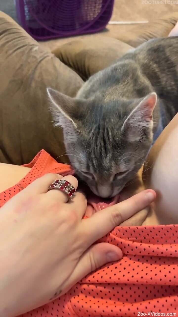 Cat licks woman's wet pussy in ways that make her come