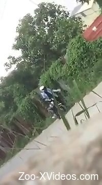 Loud animal zoophilia treat for a man attracted to perversions