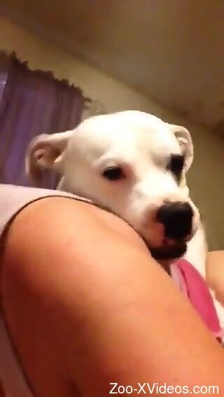 White doggie is in love with hot zoo sex at home