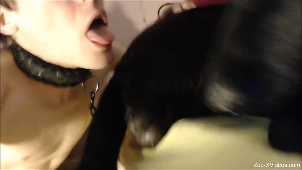 Horny twink loves licking the dog dick before trying anal