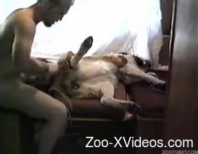 White doggy with tight hole hardly banged in amateur ZOO XXX